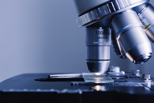 [62-MD-109-C57] Mouse C57 Cartilage cDNA   