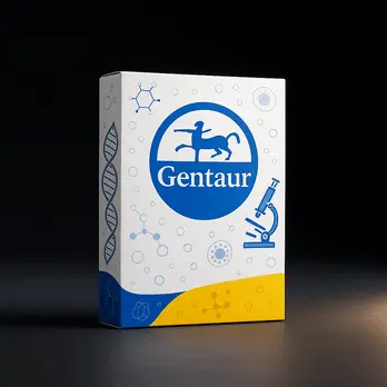 [FM-HPHMW-D96] Gentaur HMW DNA Kit  - 96 prep